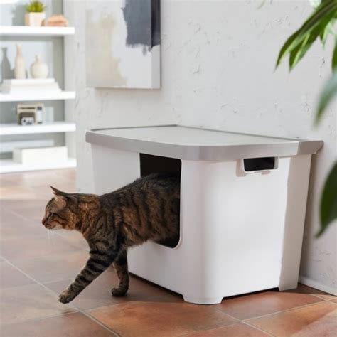 The best cat litter boxes of 2024, according to .